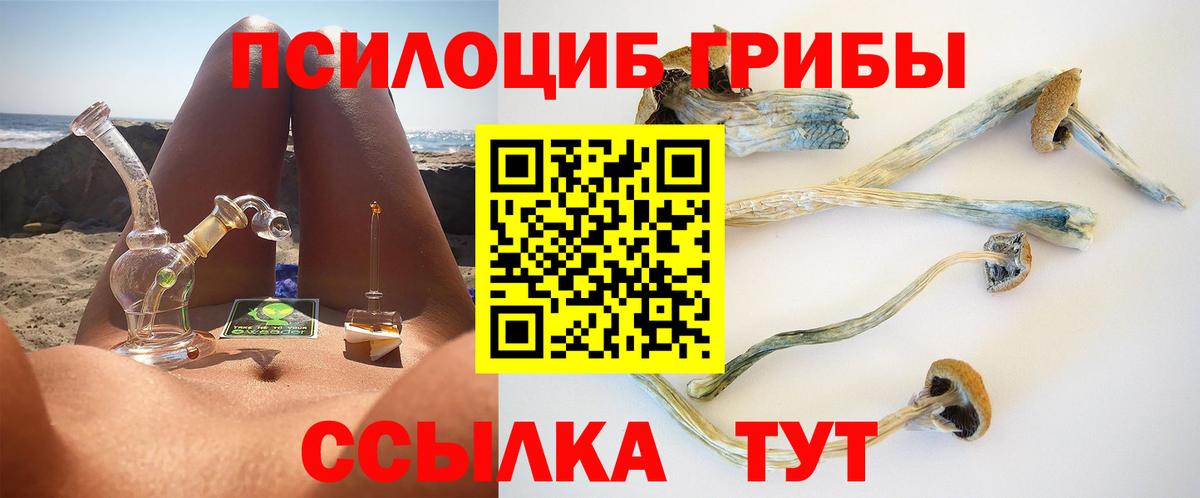 Ижевск  Галлюциногенные грибы Magic Shrooms  Псилоцибиновые грибы Magic Shrooms  где купить наркоту  Вход с VPN 